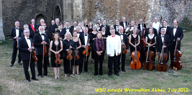 WSO group July 2010
